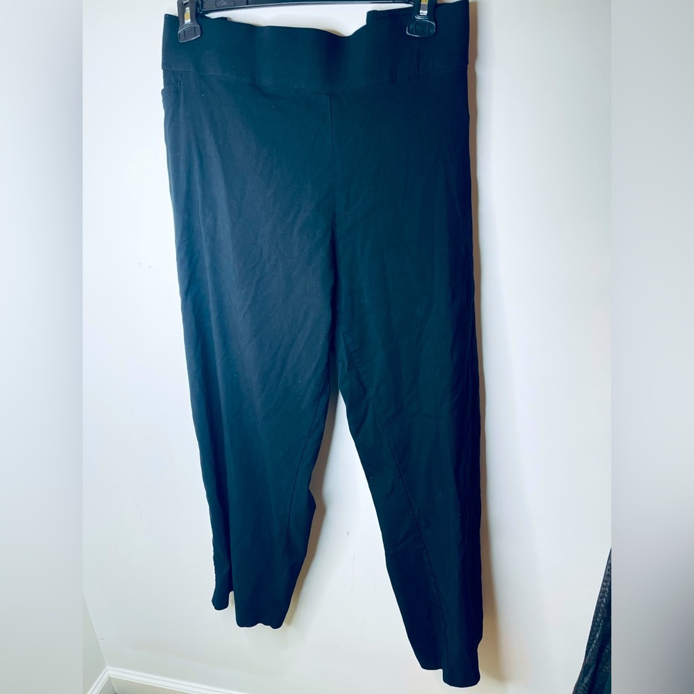 TERRA SKY PULL ON PANTS SIZE 4X